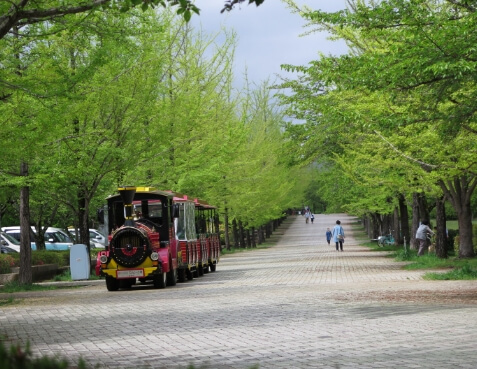 秩父ミューズパーク